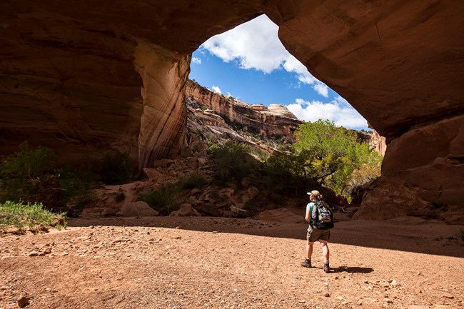 Hiker stands at bottom of canyon looking up at a natural land bridge.