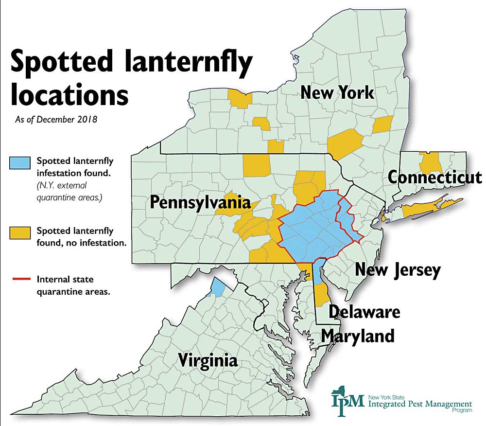 Spotted Lanternfly 101 (U.S. National Park Service)