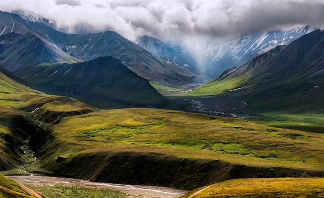 A view of the alpine tundra high country in Denali.