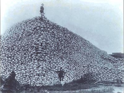 An old, black and white photo of a man standing atop a massive pile of bison skulls, another man down on the ground in front of the pile.