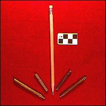 Pencils, from Rock Creek Park.