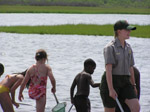 Take a closer look at marine organisms in the waters around Assatague. 31 kb