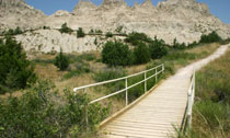 Cliff Shelf Nature Trail boardwalk