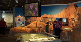 Visitors viewing exhibits in the Ben Reifel Visitor Center