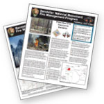 Fire Newspapers