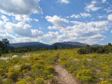burnt mesa trail