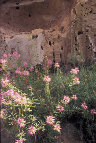 Painted Cave