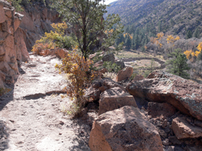 frey trail