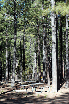 Ponderosa Campground