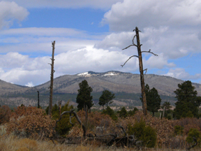 Frijoles rim trail