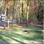 a campsite in the Greenbelt Park campground