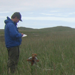 A man conducting measurements in a grassy field behind beach dunes in the distance.