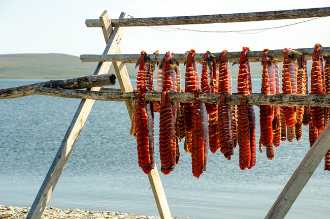 Fish hanging from a drying rack in front of a body of still blue water.