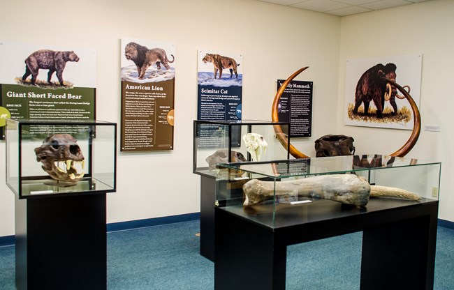 the visitor center with a mammoth display.