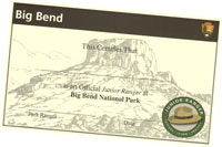 Junior Ranger certificate