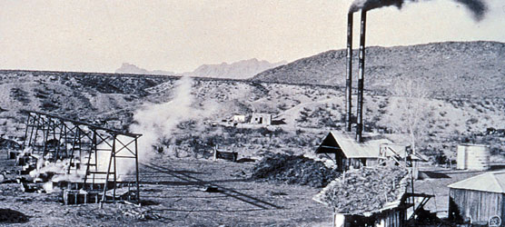 Wax factory at Glenn Springs, 1916