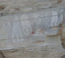 panel of petroglyphs