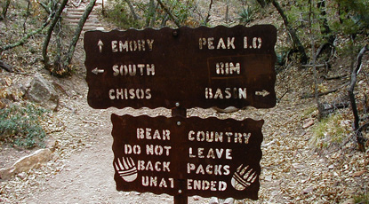 Emory Peak trailhead