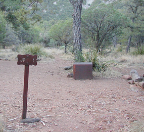Bear box at the Juniper Flat 1 campsite