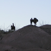 Desert horse riders