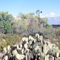 Dugout Wells