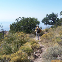 Hiking along the South Rim