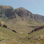 Ward Spring