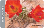 Senior Pass image
