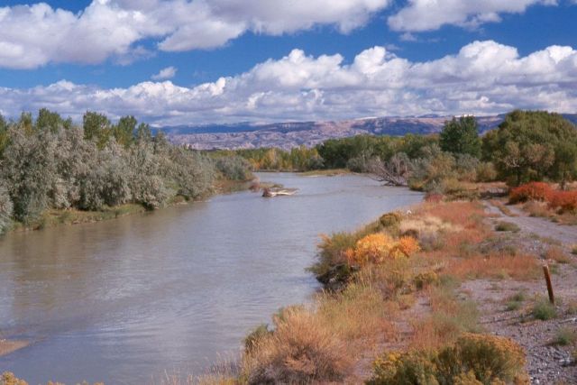 Riparian area in the Yellowtail Wildlife Habitat Management Area