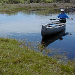 Canoeing on Turner River