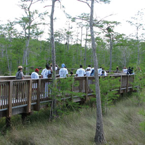 A ranger-led walk on the Kirby Storter Boardwalk.