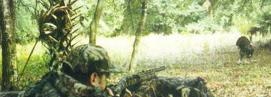 Turkey hunting in the preserve.