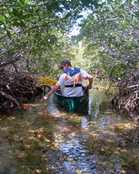 Canoeing in a creek near Jones Lagoon.