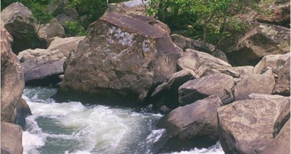 Devils Jump rapids on Big South Fork River.
