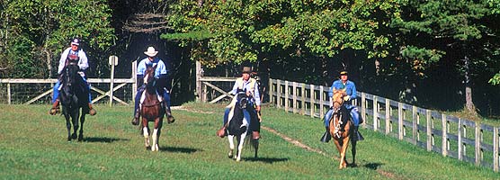 Horseback riders returning to the Bandy Creek Stables.