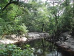 Beautiful Village Creek