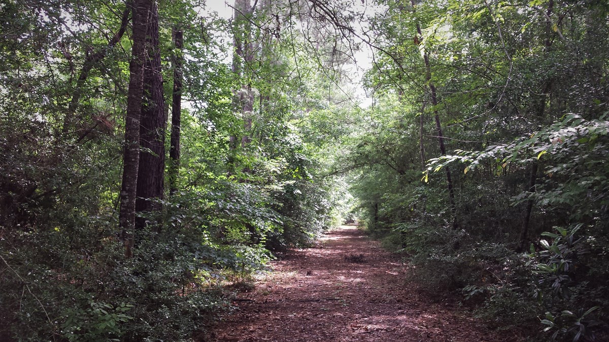 Beech Creek Unit Big Thicket National Preserve (U.S. National Park