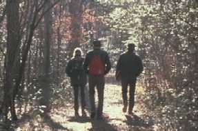 Hikers on a woodland trail