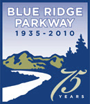 75th Anniversary Logo