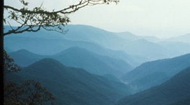 Parkway vista from the Pisgah area.