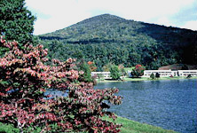 Peaks of Otter Lodge