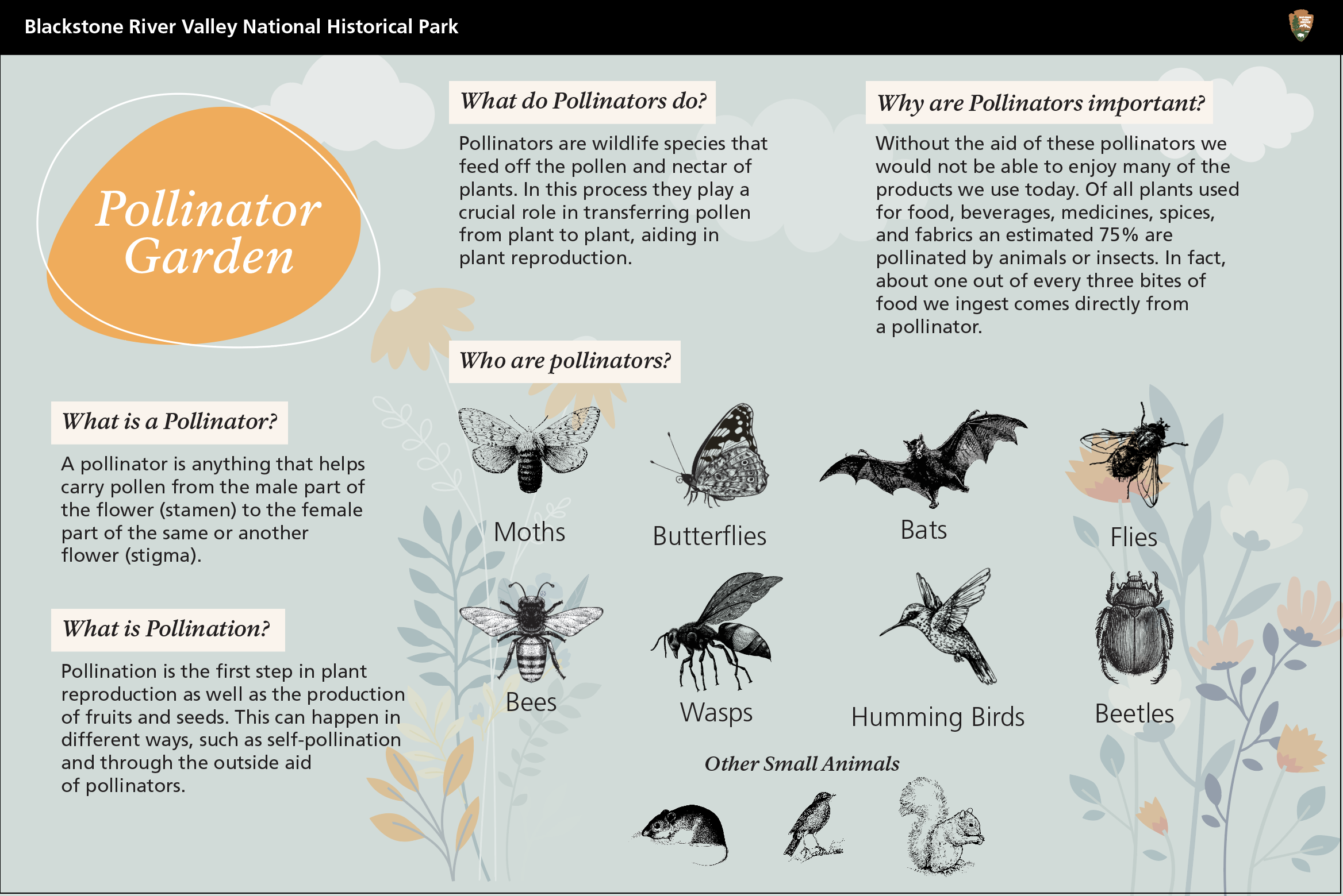 Graphic showing different pollinators and their importance