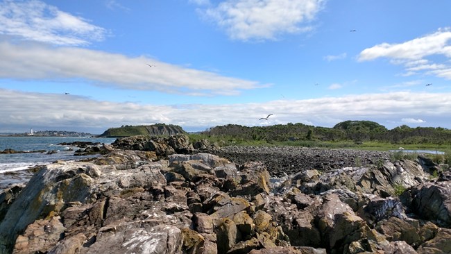 A pinkish-brown rocky shoreline spattered with white bird droppings.