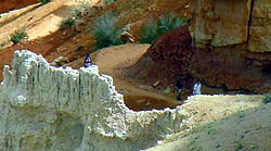 People walking along a trail