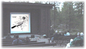 Ranger conducting evening program at outdoor amphitheater located at Sunset campground