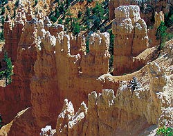 Fairyland hoodoos