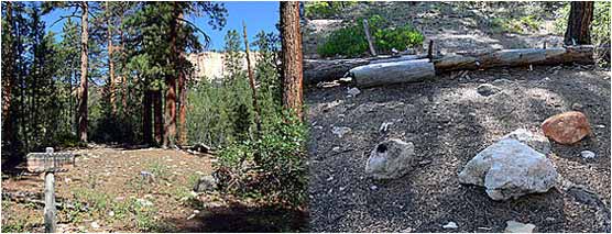 Natural Bridge Campsite