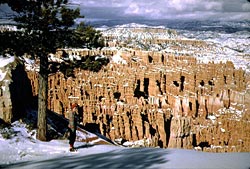 Skier near the rim trail during winter