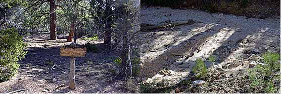 Riggs Spring Group Campsite