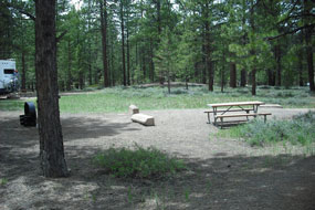 Campsite in Sunset Campground, with trees, grass, picnic table and fire grate.